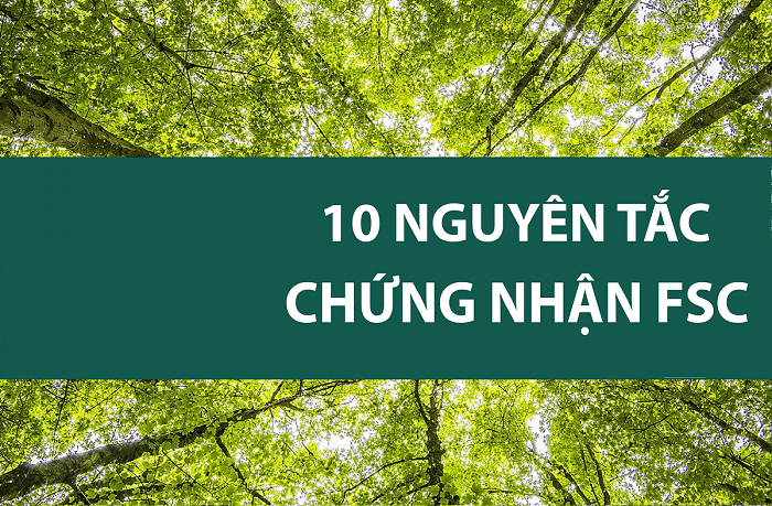 10 nguyên tắc chưungs nhận fsc
