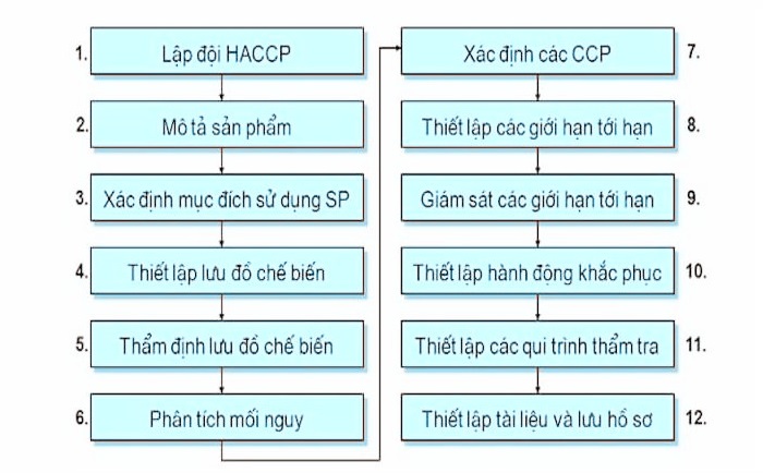 12 bước xây dựng hệ thống haccp