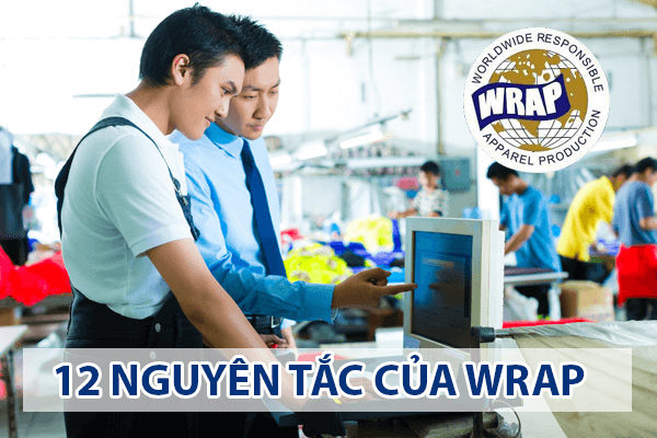 12 NGUYÊN TẮC CỦA WRAP