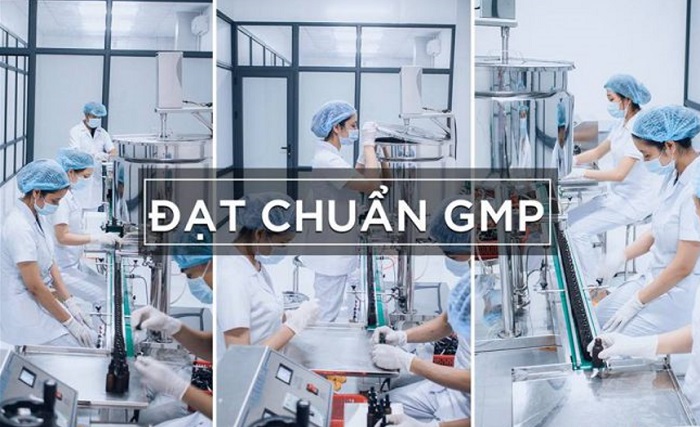 5 yếu tố cơ bản trong GMP