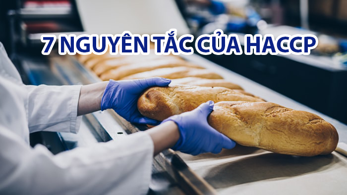 7 NGUYÊN TẮC CỦA HACCP