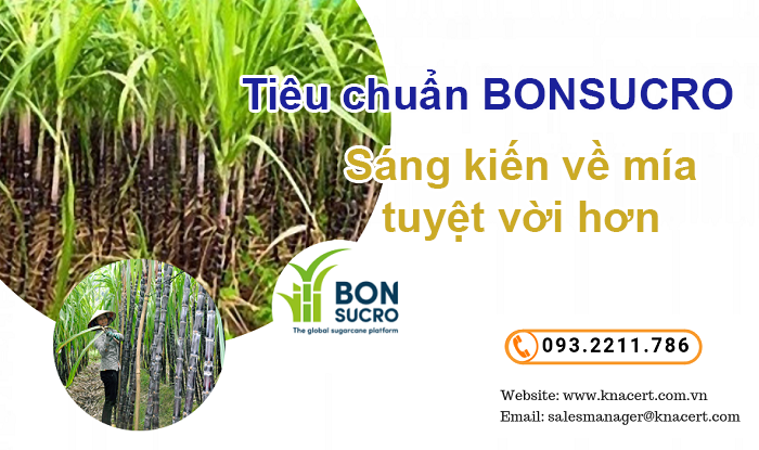 Tư vấn BONSUCRO – Sáng kiến về mía tuyệt vời