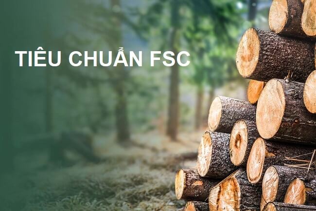 bo-tieu-chuan-fsc-coc