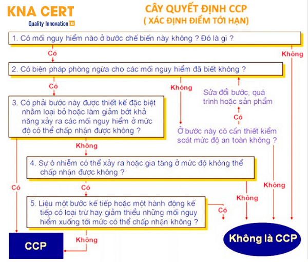 CÂY QUYẾT ĐỊNH CCP