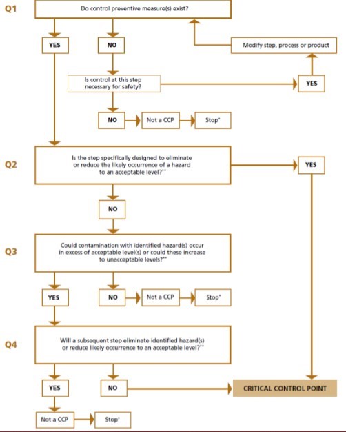 Cây quyết định ccp theo CODEX