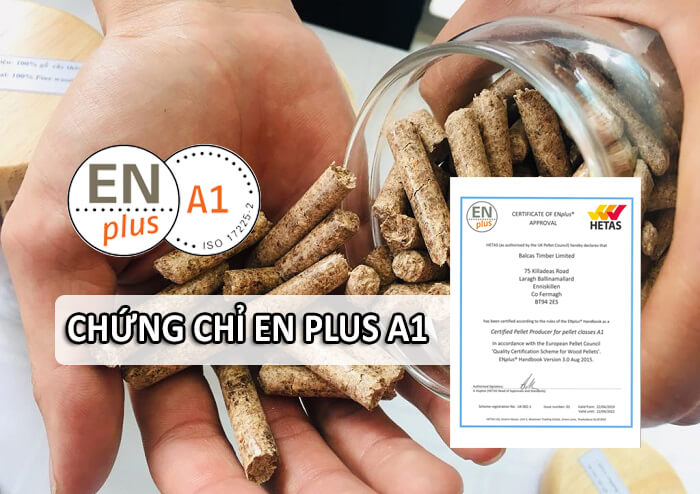 chứng chỉ en plus a1