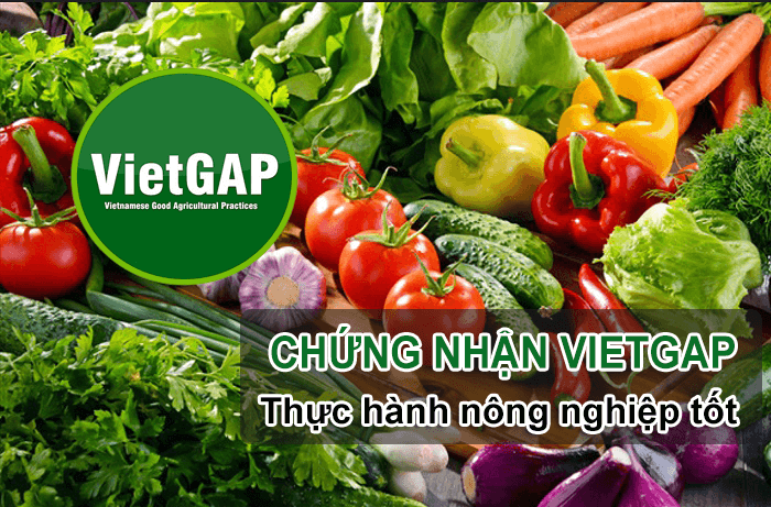 chứng nhận vietgap