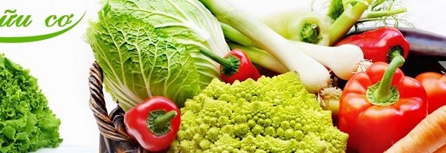 chứng nhận haccp