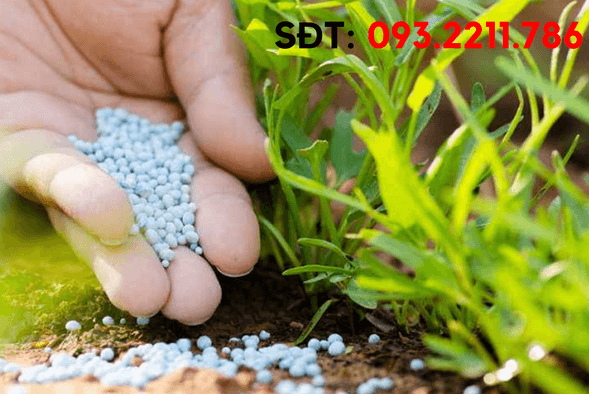 chứng nhận hợp quy phân bón