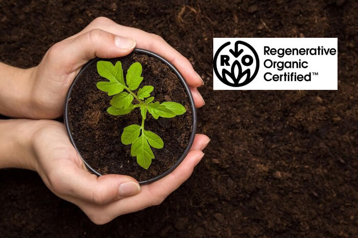 chứng nhận hữu cơ tái sinh