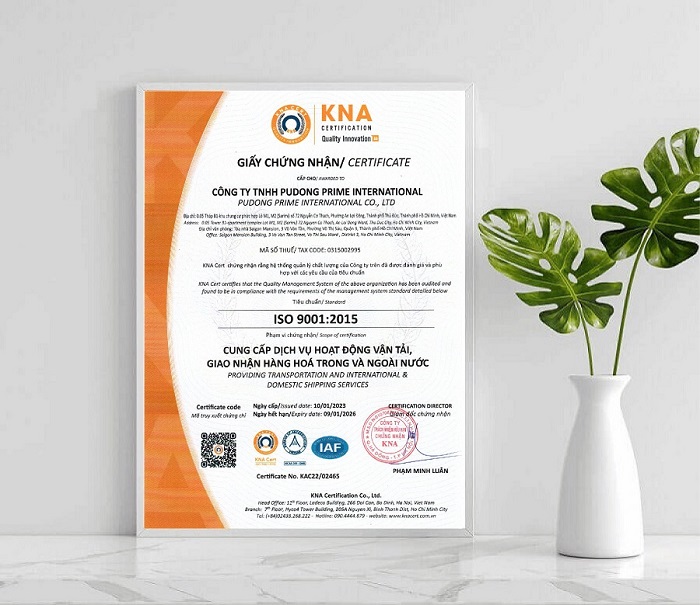 chứng nhận ISO 9001:2015 cho công ty Pudong 