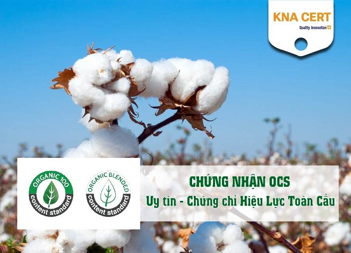 chứng nhận OCS