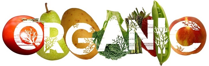 Organic Standard Certification