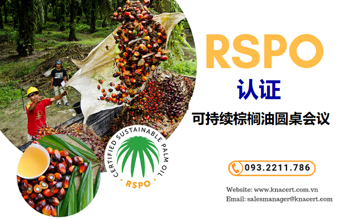 可持续棕榈油圆桌会议