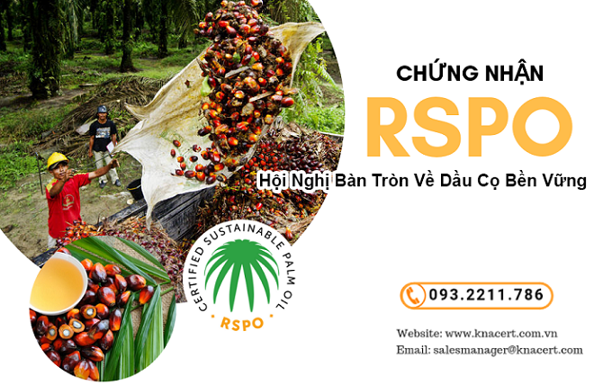 chứng nhận rspo - Hội Nghị Bàn Tròn Về Dầu Cọ Bền Vững