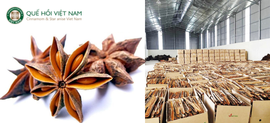 CÔNG TY SẢN XUẤT VÀ XUẤT KHẨU QUẾ HỒI VIỆT NAM