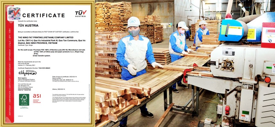 Công Ty Tnhh Thương Mại The Wingfat