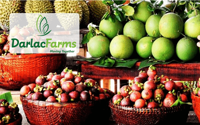 Công ty TNHH Trái cây Darlac Farms