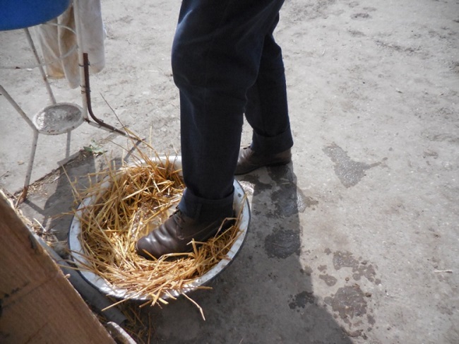 đánh giá thực địa RDS