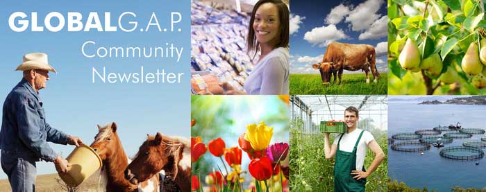 chứng nhận global gap 