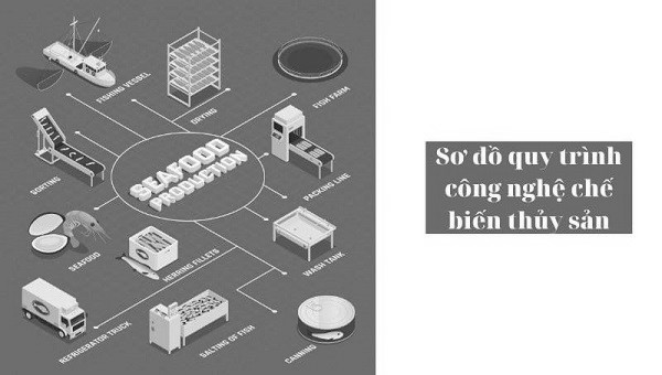 SOW DDOOF QUY TRINHF SANR PHAAMR THUYR SANR