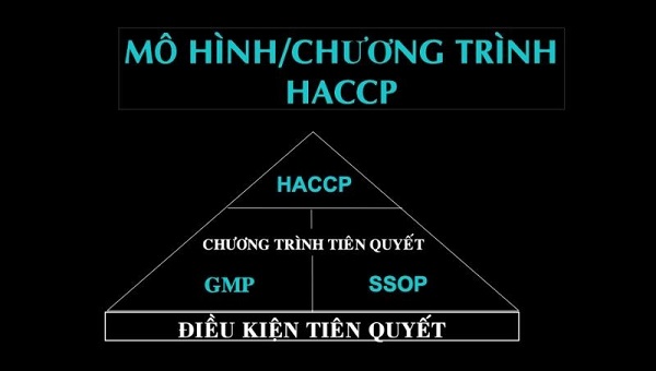 haccp cho nganh thuy san