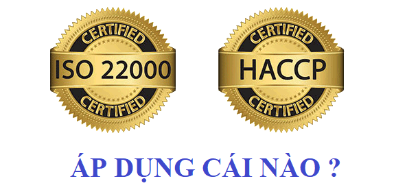 nên áp dụng iso 22000 hay haccp