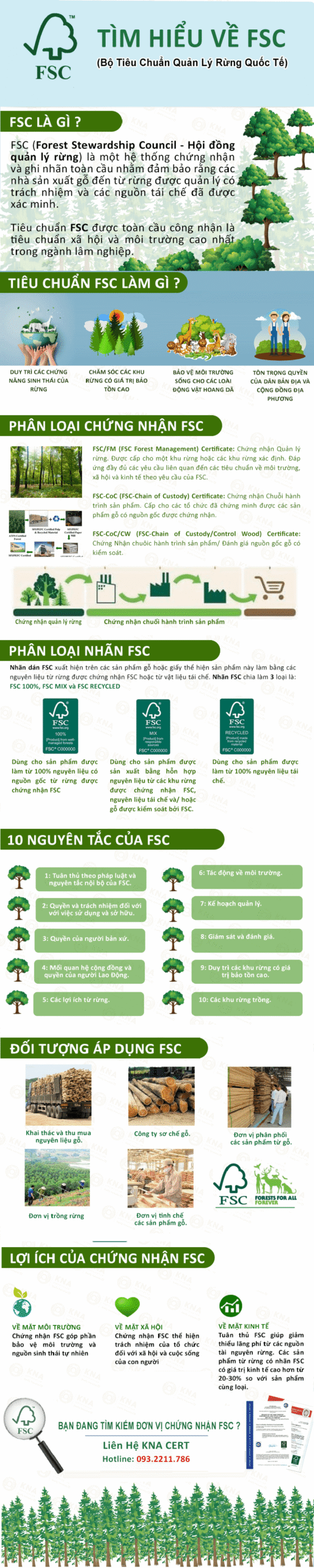 infographic tìm hiểu về tiêu chuẩn fsc