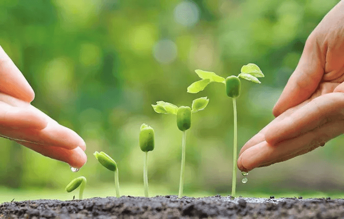 bộ tiêu chuẩn iso 14001:2015