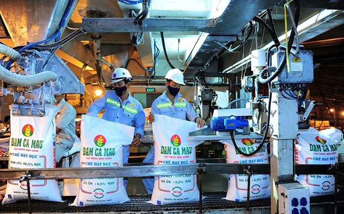 lĩnh vực sản xuất phân bón