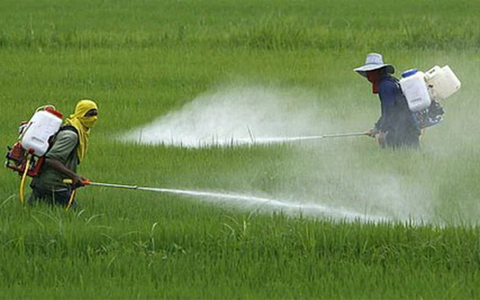 lĩnh vực thuốc bảo vệ thực vật 