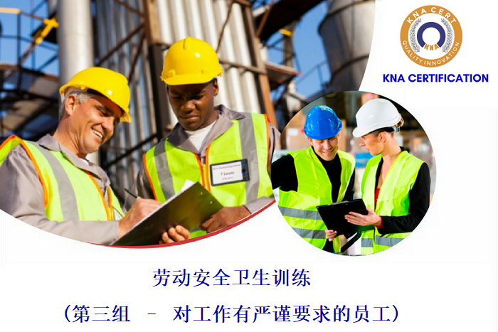 第三组 – 对工作有严谨要求的员工