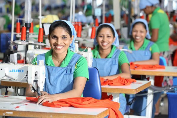 OCS – Tiêu chuẩn về thành phần hữu cơ