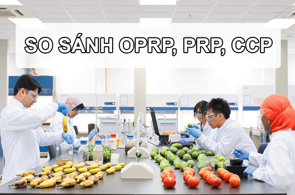 SỰ KHÁC NHAU GIỮA CCP OPRP PRP