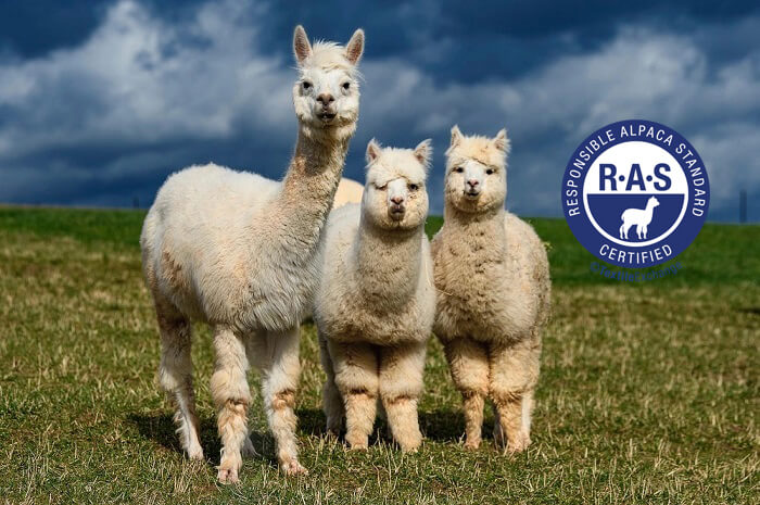 “Responsible Alpaca Standard”
