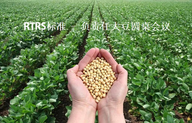 RTRS标准 – 负责任大豆圆桌会议