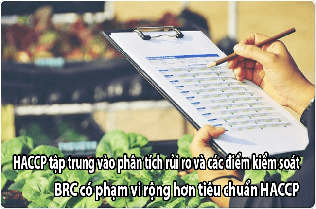 SO SÁNH BRC VÀ HACCP