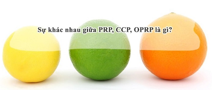 SỰ KHÁC NHAU GIỮA CPP, PRP, OPRP