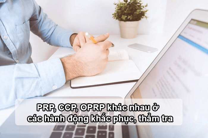 SỰ KHÁC NHAU GIỮA CCP PRP VÀ OPRP