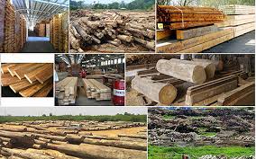 tư vấn fsc cho doanh nghiệp