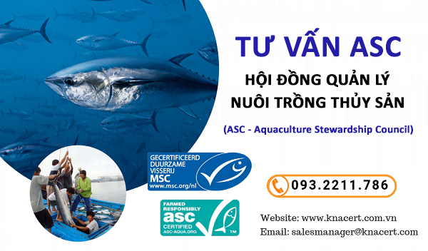 TƯ VẤN IATF 16949:2016