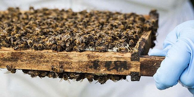 tiêu chuẩn íos 26030