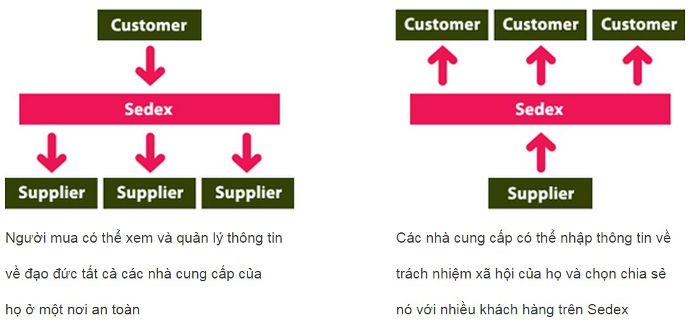 tiêu chuẩn sedex smeta