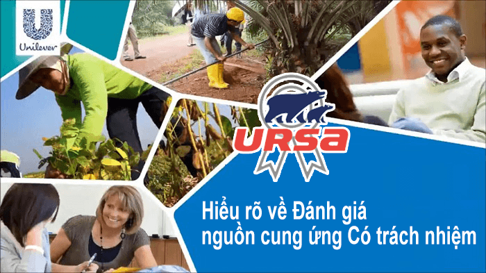 Hiểu rõ về Đánh giá nguồn cung ứng Có trách nhiệm