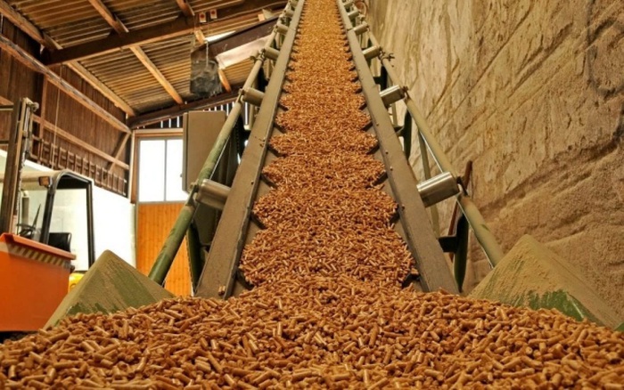 chứng nhận enplust cho viên nén gỗ